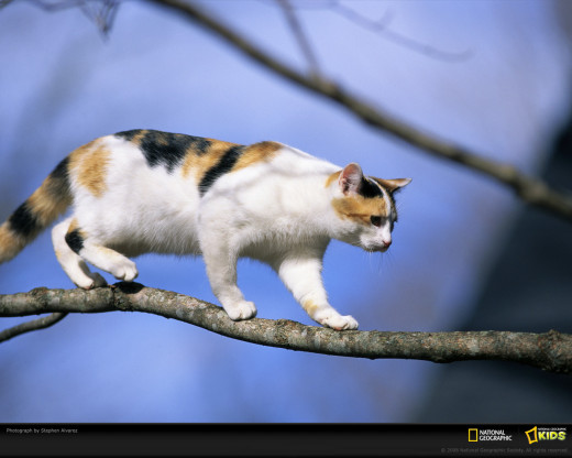 360516 (a): :1280x1024